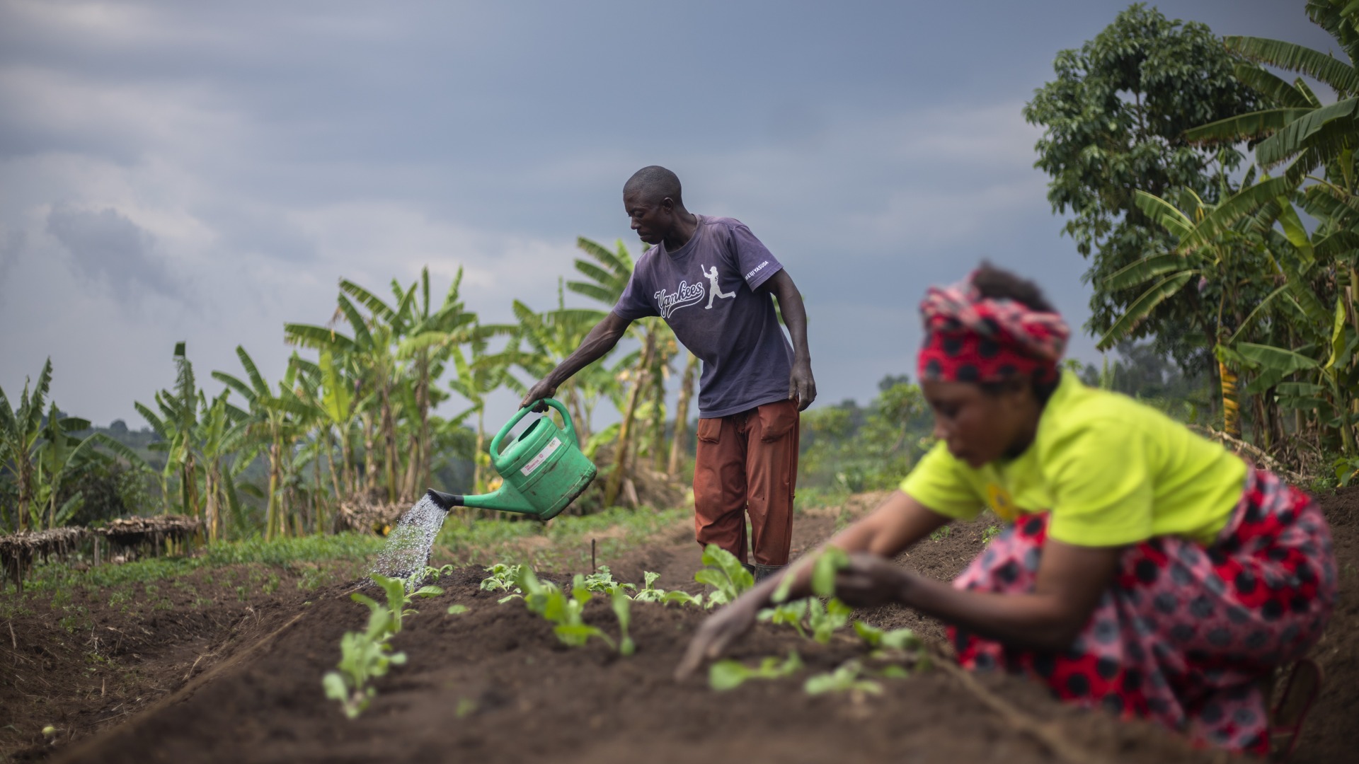 A man and a woman work in their fields.