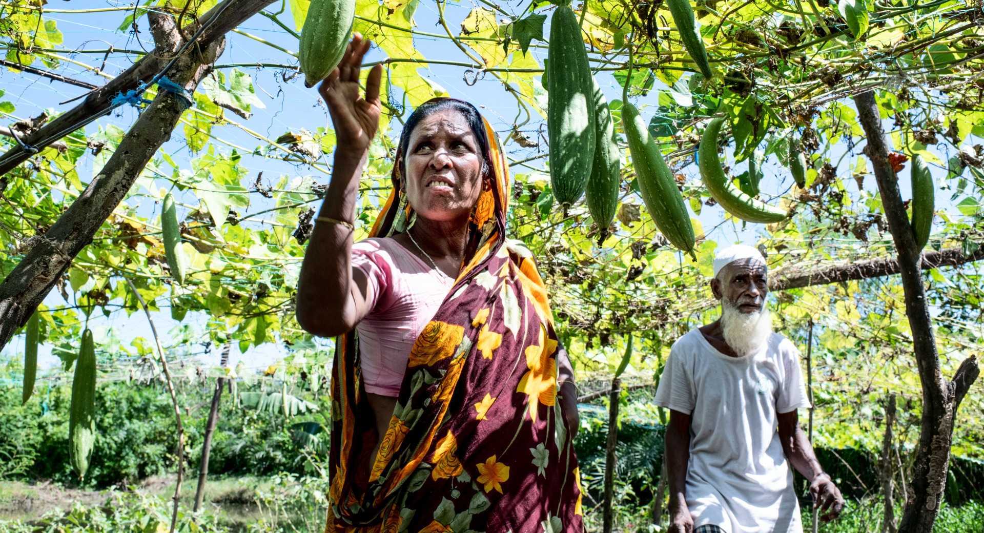 A woman admires the produce growing from above in her garden. Her husband stands in the background.