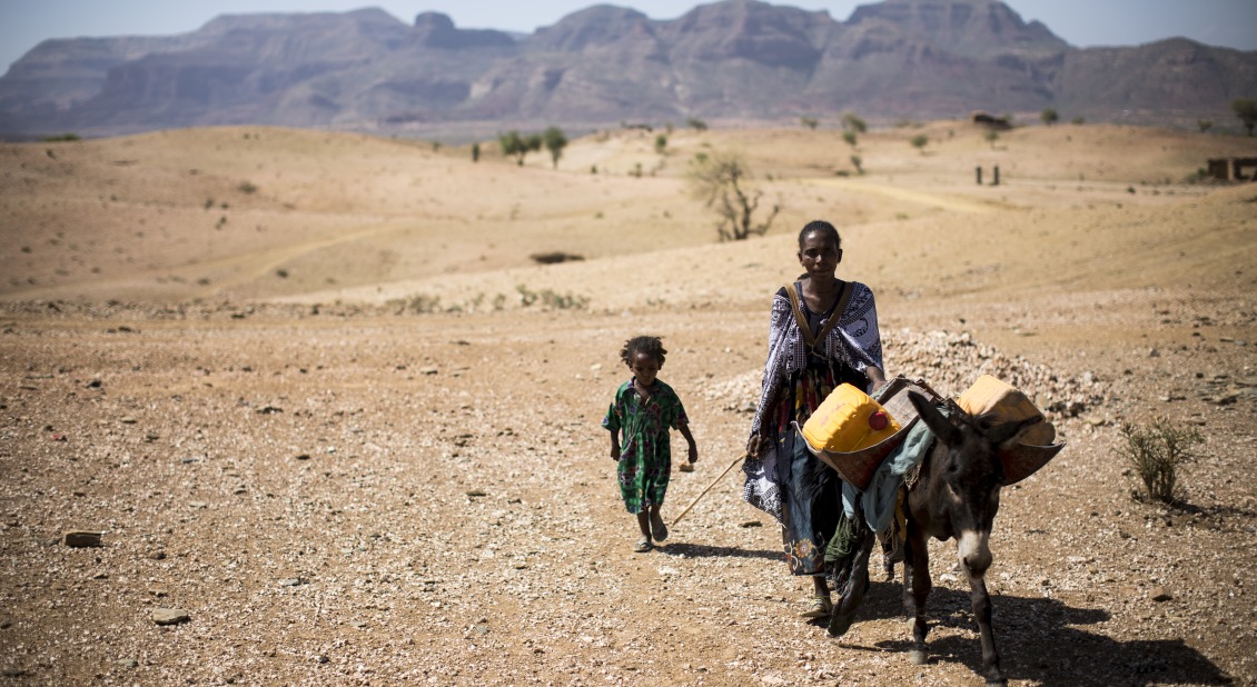 Drought is particularly hard on herding and farming families, who depend on land and livestock to survive.
