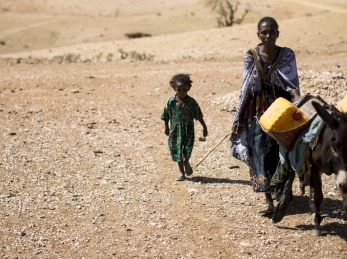 Drought is particularly hard on herding and farming families, who depend on land and livestock to survive.