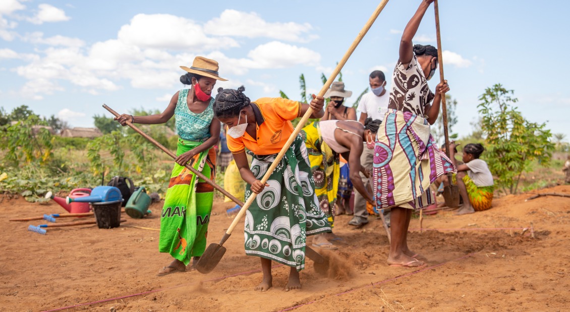Farmers work in parched fields. Action Against Hunger works to support agricultural projects, but more support is needed as drought and sandstorms continue to wreak havoc on planting and harvest seasons.