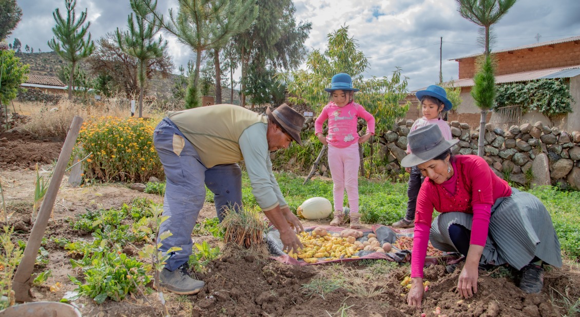 A family harvests crops from their garden.