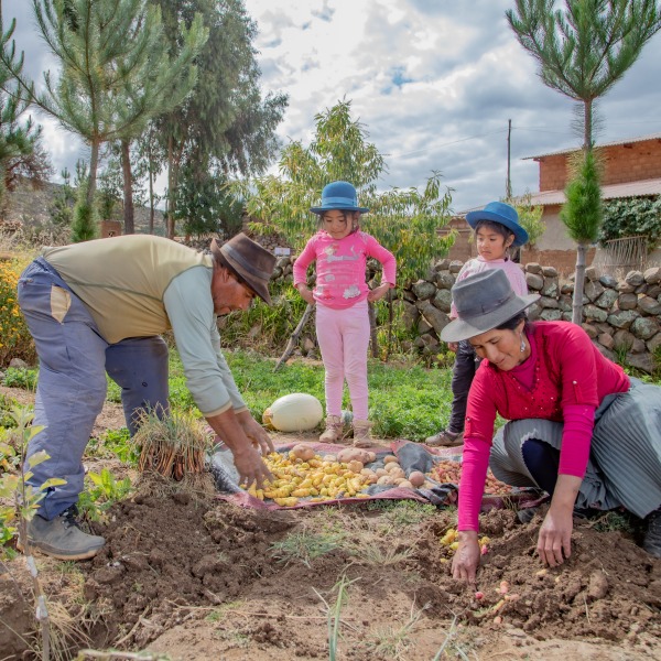 A family harvests crops from their garden.